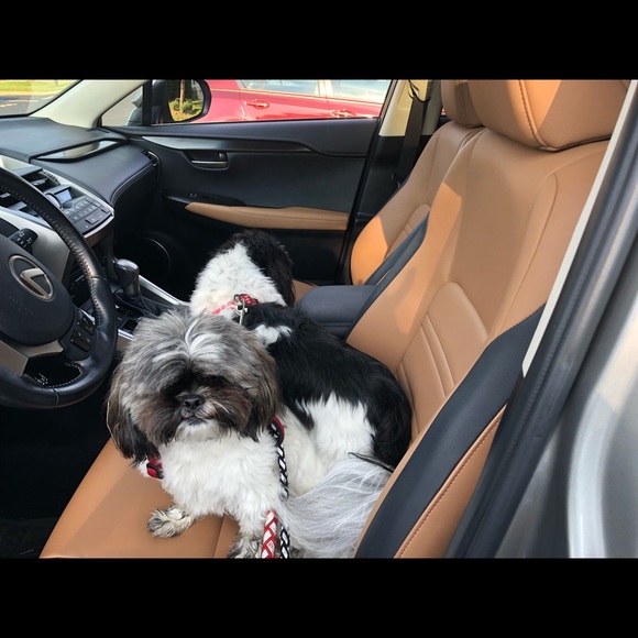 Meet your Posher, Lisa - Picture 1 of 1